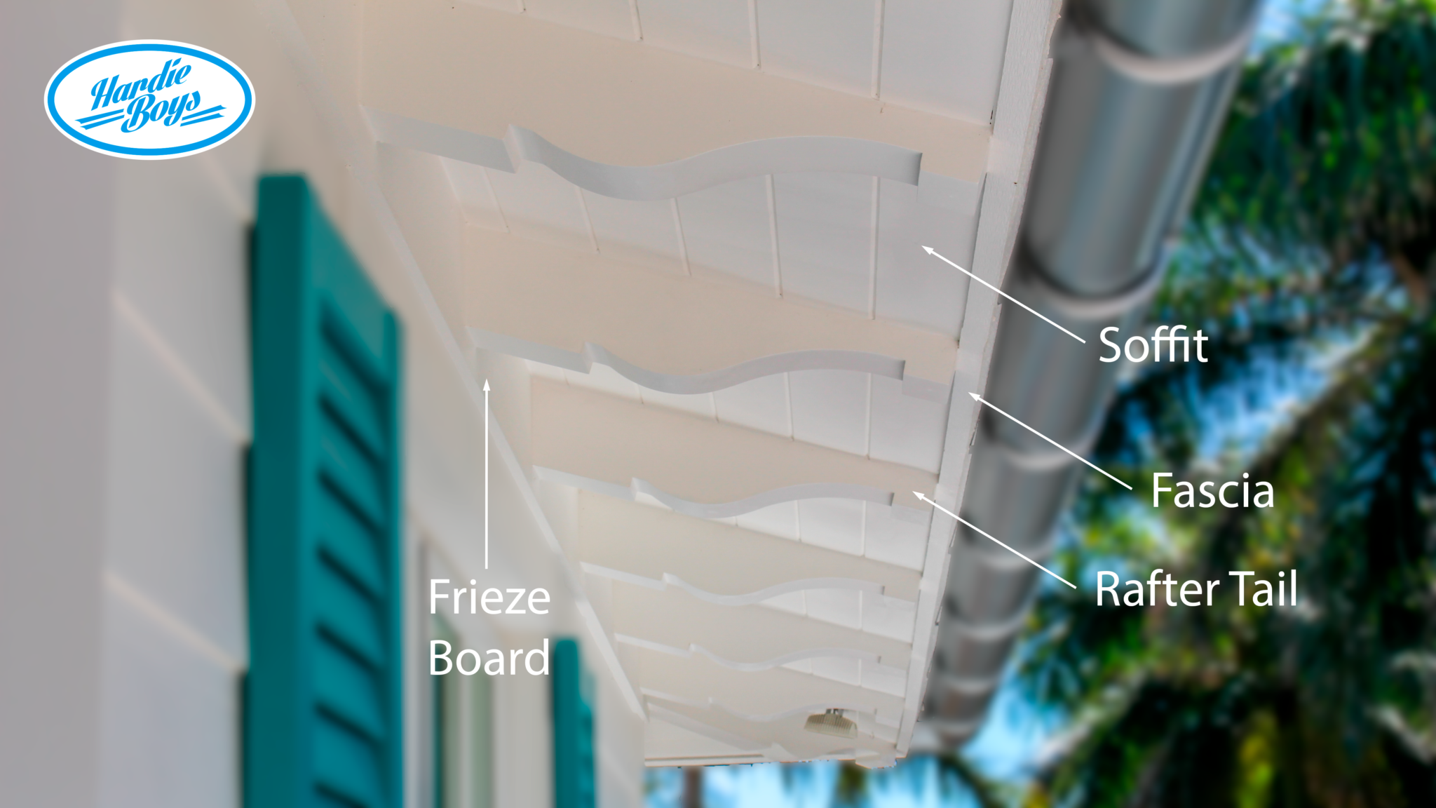 Soffit Anatomy